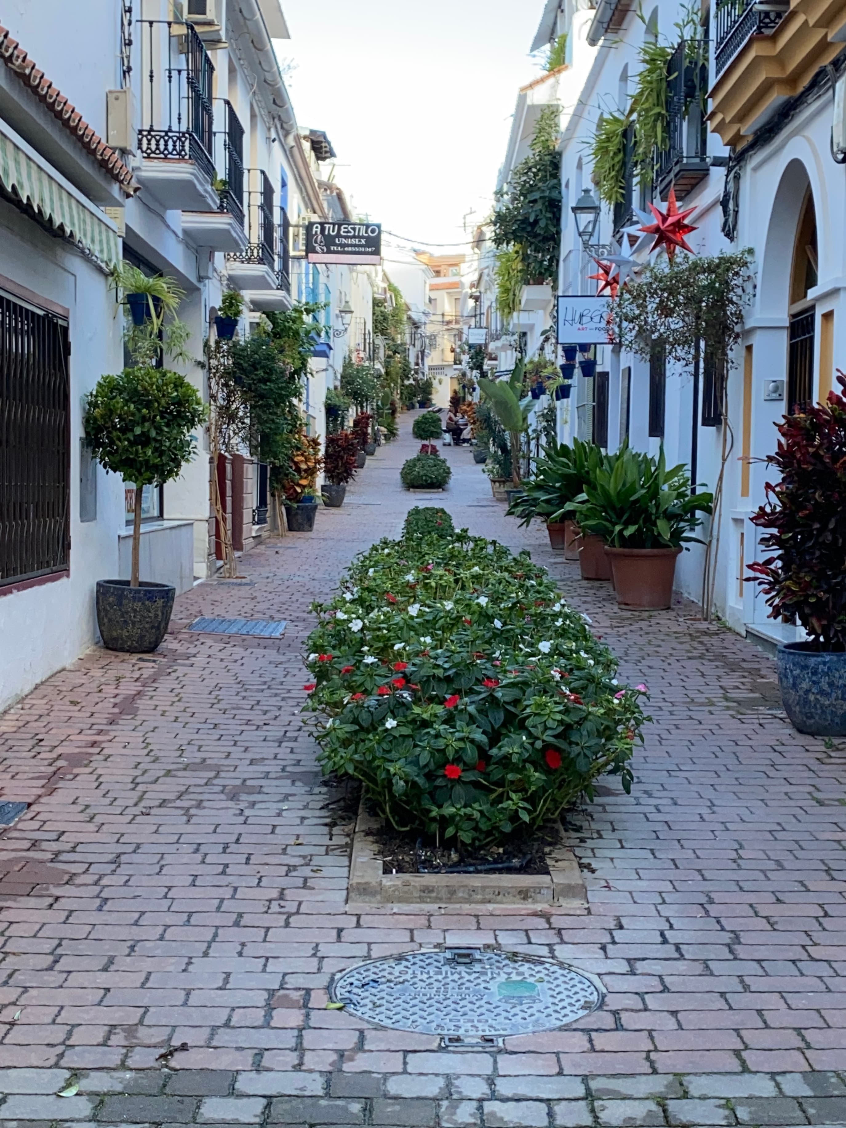 Callejón blanco con macetas en Estepona
