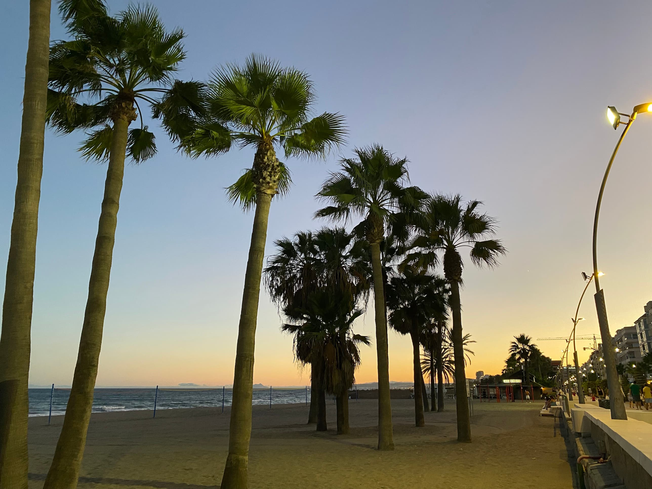 Paseo marítimo con palmeras en la Costa del Sol